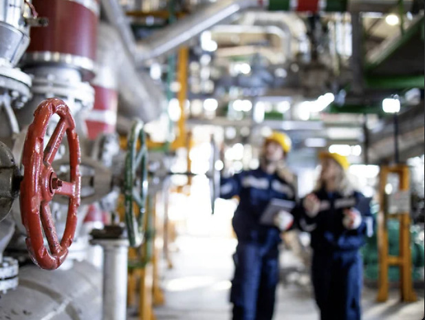 Sector petroquímico